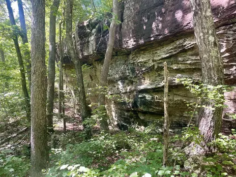 000 Old Brewer Rd N, Edgemont, AR 72044 photo 21