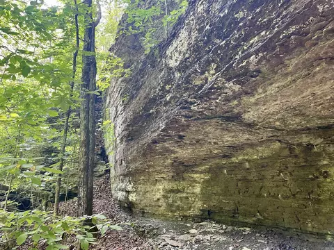 000 Old Brewer Rd N, Edgemont, AR 72044 photo 31
