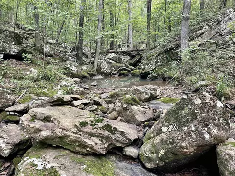 000 Old Brewer Rd N, Edgemont, AR 72044 photo 5