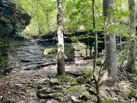 000 Old Brewer Rd N, Edgemont, AR 72044