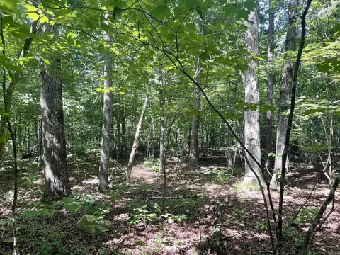 000 Old Brewer Rd N, Edgemont, AR 72044 photo 15