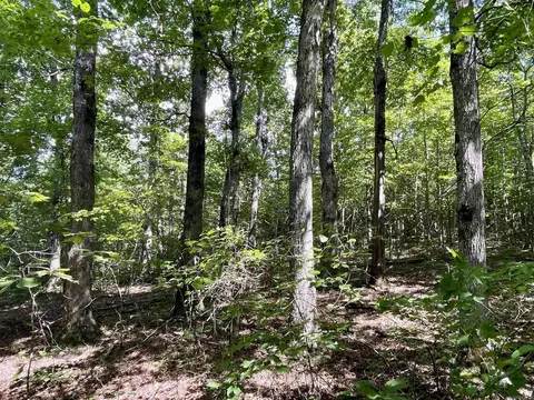 000 Old Brewer Rd N, Edgemont, AR 72044 photo 14