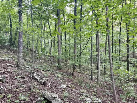 000 Old Brewer Rd N, Edgemont, AR 72044 photo 39