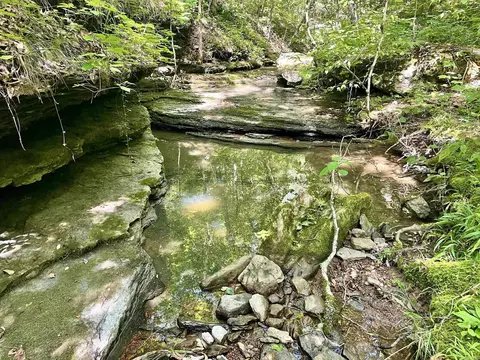000 Old Brewer Rd N, Edgemont, AR 72044 photo 28