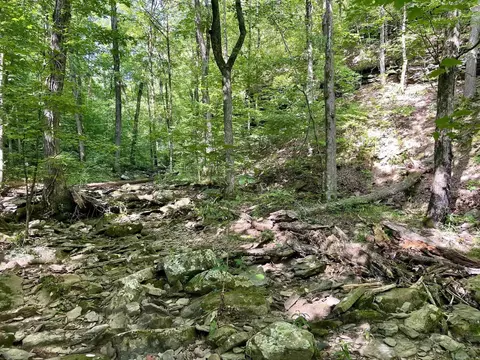 000 Old Brewer Rd N, Edgemont, AR 72044 photo 36