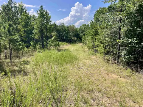000 Old Brewer Rd N, Edgemont, AR 72044 photo 9