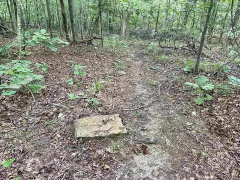 000 Old Brewer Rd N, Edgemont, AR 72044 photo 46