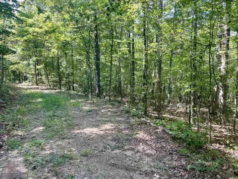 000 Old Brewer Rd N, Edgemont, AR 72044 photo 11