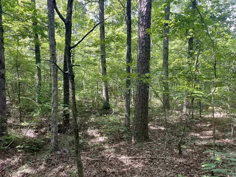 000 Old Brewer Rd N, Edgemont, AR 72044 photo 12