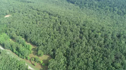 000 E Parker Rd, Plumerville, AR 72127 photo 2