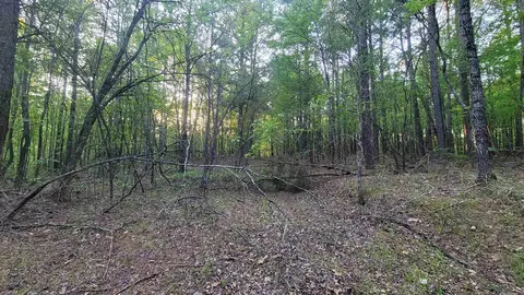tbd Highway 9, Malvern, AR 72104 photo 37