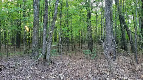 tbd Highway 9, Malvern, AR 72104 photo 35