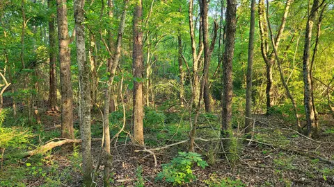 tbd Highway 9, Malvern, AR 72104 photo 30