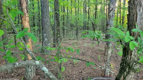 tbd Highway 9, Malvern, AR 72104 photo 32