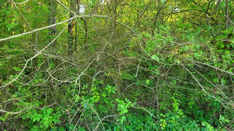 tbd Highway 9, Malvern, AR 72104 photo 29
