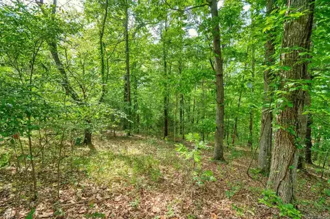 000 Clover Ridge Ct, Hot Springs, AR 71913