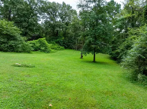 65 Oak St, Ash Flat, AR 72513 photo 23