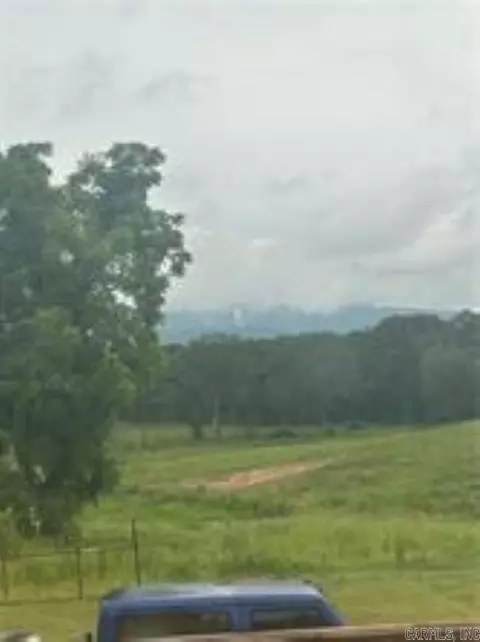 10108 Blevins Hl, Dardanelle, AR 72834