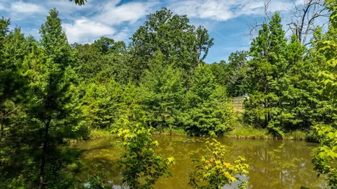 18 Crestview Rd, Conway, AR 72034 photo 42
