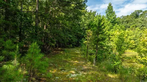 18 Crestview Rd, Conway, AR 72034 photo 44