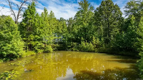 18 Crestview Rd, Conway, AR 72034 photo 45
