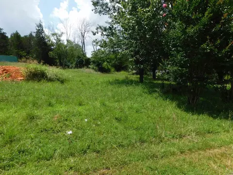 343 Blevins St, Norfork, AR 72658 photo 25