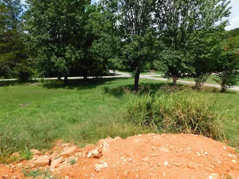 343 Blevins St, Norfork, AR 72658 photo 21