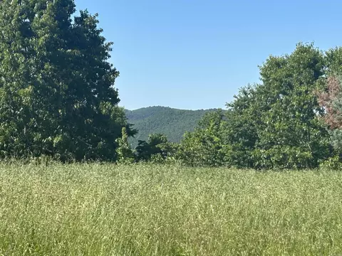 Tracts 5 And 6 Deitrick Drive, Mountain View, AR 72560