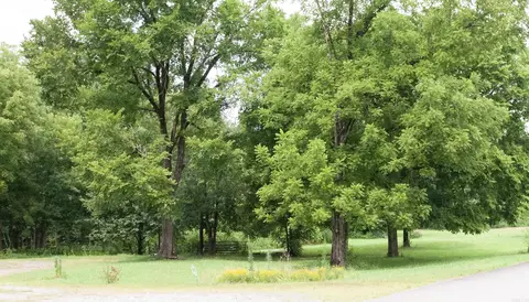 104 Cove Chapel Rd, Springfield, AR 72157 photo 24