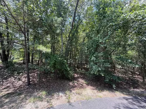 14 Versalles Ln, Hot Springs Village, AR 71909