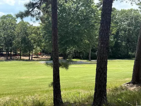 14 Versalles Ln, Hot Springs Village, AR 71909