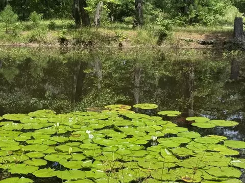 View/Area - 3701 Privatewood Rd, Pine Bluff, AR 71603 photo 1 of 1