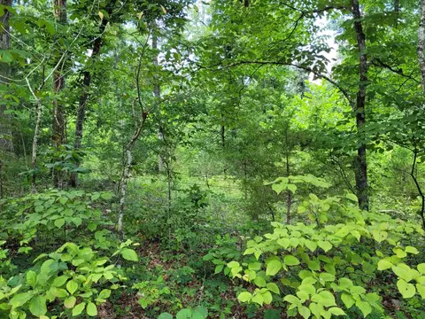 tbd Tall Timber Rd, Hardy, AR 72542