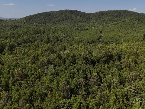 lot1 Polk Road 78, Mena, AR 71953