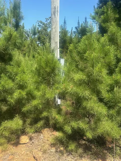 Christopher Drive, Greers Ferry, AR 72067 photo 7