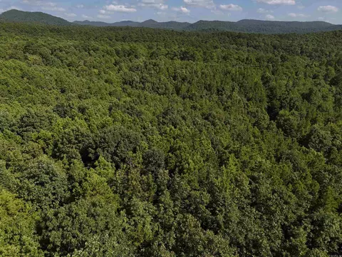 lot7 Polk Road 78, Mena, AR 71953