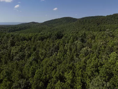 lot8 Polk Road 78, Mena, AR 71953