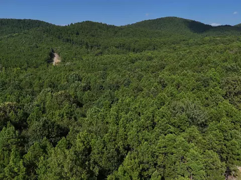 lot10 Polk Road 78, Mena, AR 71953