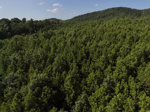 lot14 Polk Road 78, Mena, AR 71953