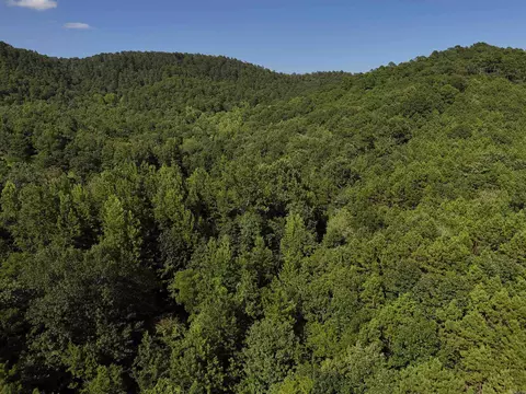 lot17 Polk Road 78, Mena, AR 71953