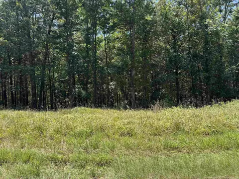 00 Davidson Cir, Greers Ferry, AR 72067