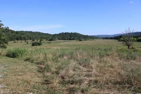 897 Rail Rd, Marshall, AR 72650 photo 30