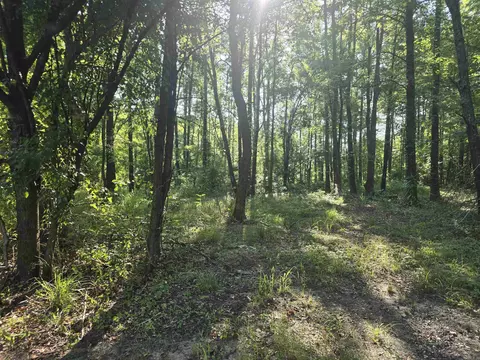 Exterior - 2571 Highway 31, Beebe, AR 72012 photo 14 of 17