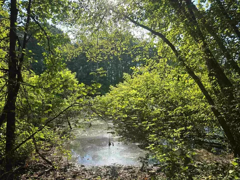 Other - 2571 Highway 31, Beebe, AR 72012 photo 4 of 6