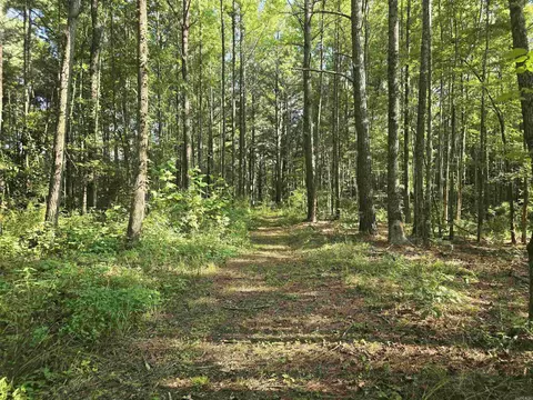 Other - 2571 Highway 31, Beebe, AR 72012 photo 3 of 6