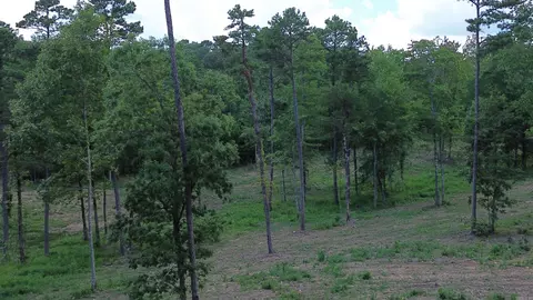 000 Private Road 4485 Rd, Ozone, AR 72854 photo 23