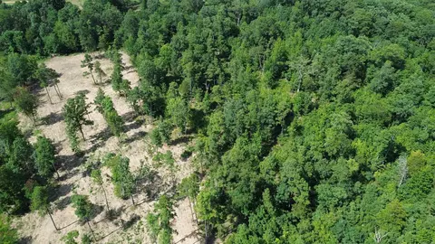 000 Private Road 4485 Rd, Ozone, AR 72854 photo 46