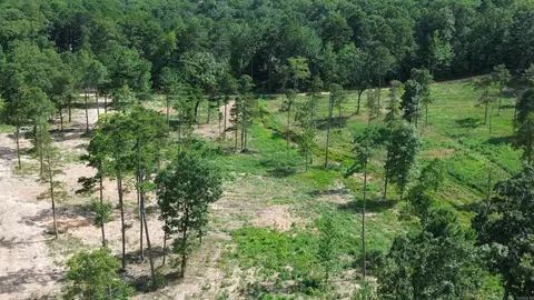 000 Private Road 4485 Rd, Ozone, AR 72854 photo 32