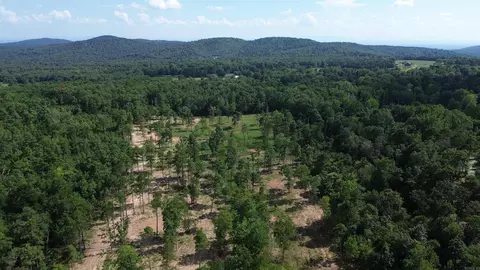000 Private Road 4485 Rd, Ozone, AR 72854 photo 19