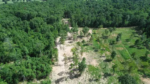 000 Private Road 4485 Rd, Ozone, AR 72854 photo 48